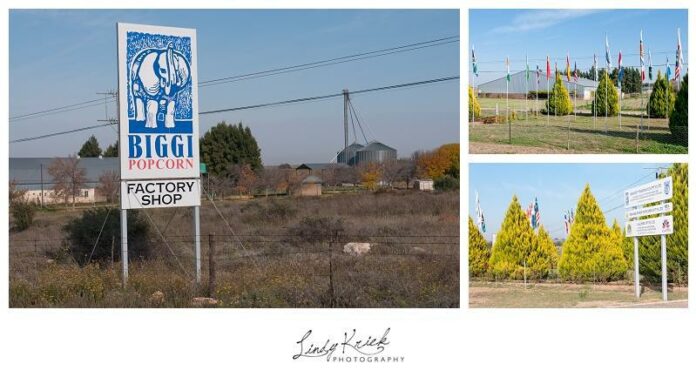 Biggi Brands - Hopetown
