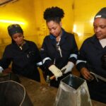 AR Jones Engineering – female staff