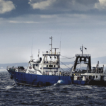 Oceana Group – leaders in the Oceans Economy