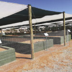 Vedanta – SAB-2021 -Nursery_2