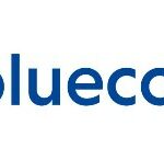 Bluecode Africa Logo