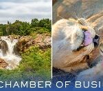 Kruger Lowveld Chamber of Business and Tourism 2