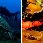 iSimangaliso MPA – 190528-3