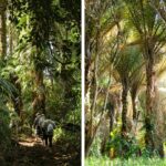 iSimangaliso MPA – 190626-2
