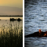 iSimangaliso MPA – 190626-5