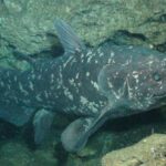iSimangaliso MPA – 190724-1