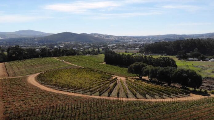 Launch of world-class platform for vineyard training and research