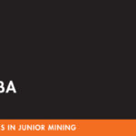 2021 Junior Indaba banner for Mailer – Online Edition