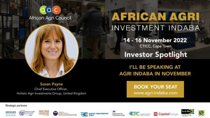 Indaba to feature funding for female-led SMEs | Global Africa Network