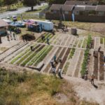 Bellville Urban food Garden brings new hope and growth