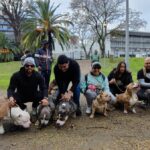 Elizabeth Park Bellville 1
