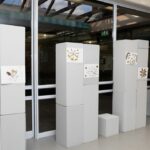 Bellville Waste-to-Art Exhibition – GTP 12