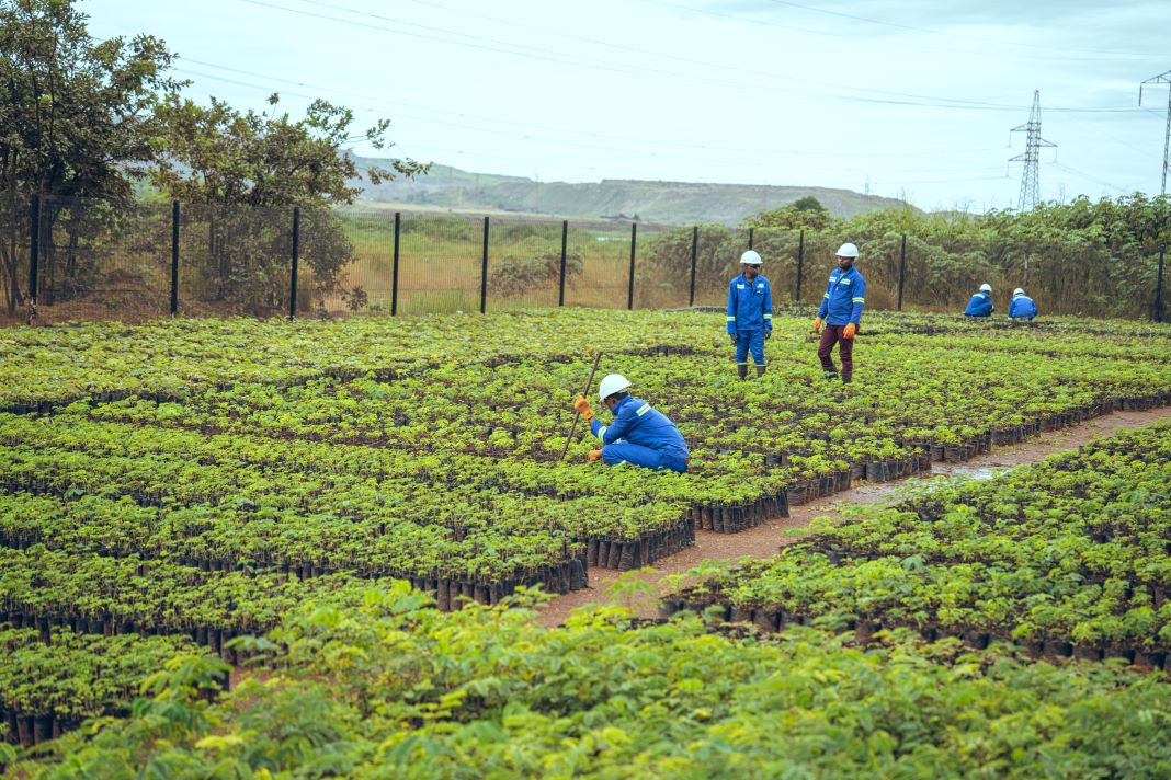 Glencore Biological Diversity Plan for DRC Mines