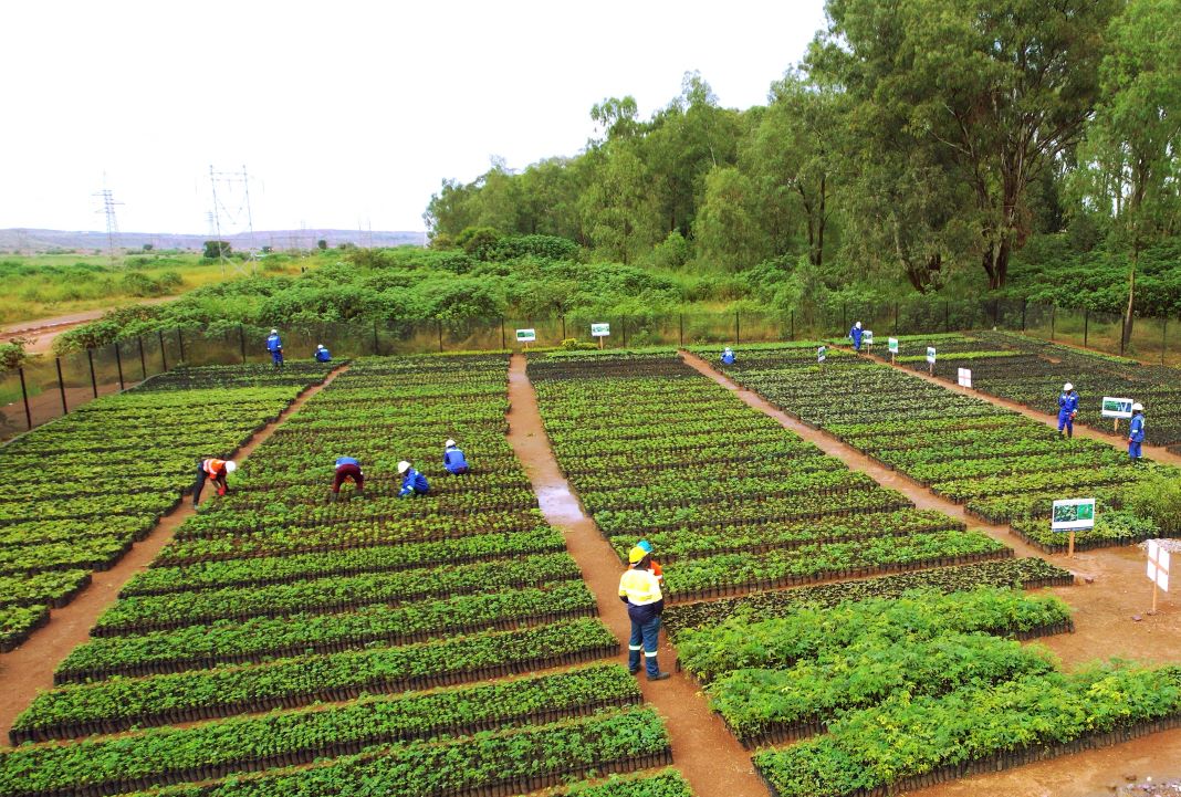 Glencore Biological Diversity Plan for DRC Mines