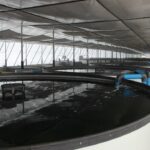 ELIDZ – Aquaculture 1 – 2024