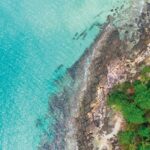 Ocean – Nature – Forests