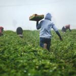 AAC – Market Access Africa