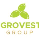 Igrovest Group logo 2