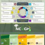 NCGH2 VALUE CHAIN -1