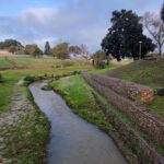 Elizabeth Park Revamp 1