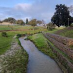 Elizabeth Park Revamp