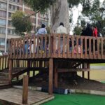 Elizabeth Park Revamp 4