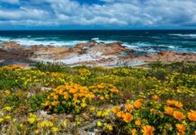 Investment opportunities in the West Coast District Municipality