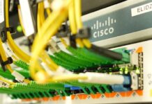 Unlock the future of business with ELIDZ’s digital economy solutions