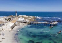 Development of 4 land-based aquaculture farms on Cape West Coast is open for investment