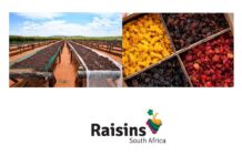 Raisins South Africa, a respected global player