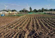 Supporting women, growing rural economies