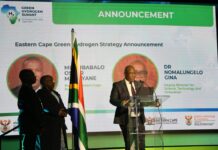 Eastern Cape unveils green hydrogen strategy